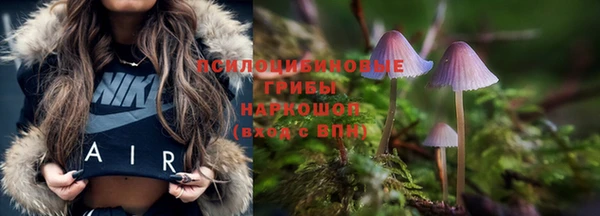 молекула духа Алексеевка