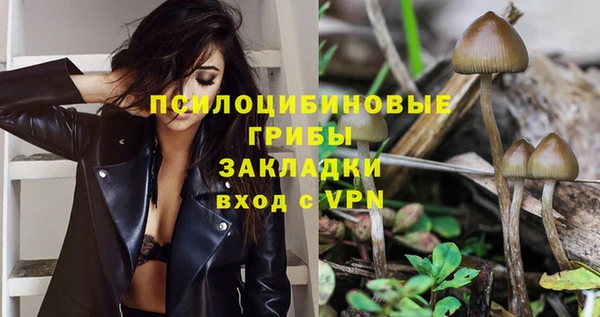 молекула духа Алексеевка
