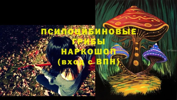 молекула духа Алексеевка