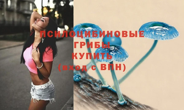 Альфа ПВП Алзамай