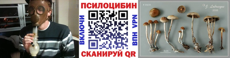 Галлюциногенные грибы мицелий  kraken маркетплейс  Железногорск-Илимский 